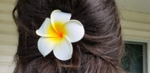 خرید کلیپس و گیره مو پلومریا دخترانه 1