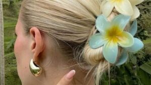 خرید کلیپس و گیره مو دخترانه پلومریا | جدیدترین مدلهای اکسسوری مو 1404 4 خرید کلیپس و گیره مو پلومریا دخترانه 3